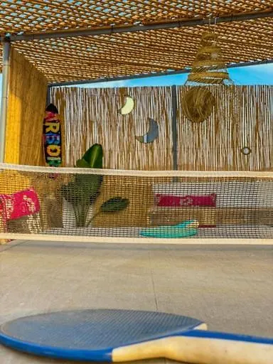 Guest house Ohana Surf House Hotel Agadir Morocco